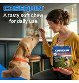 Nutramax Labs Nutramax Cosequin Joint Health Supplement with MSM 60Ct