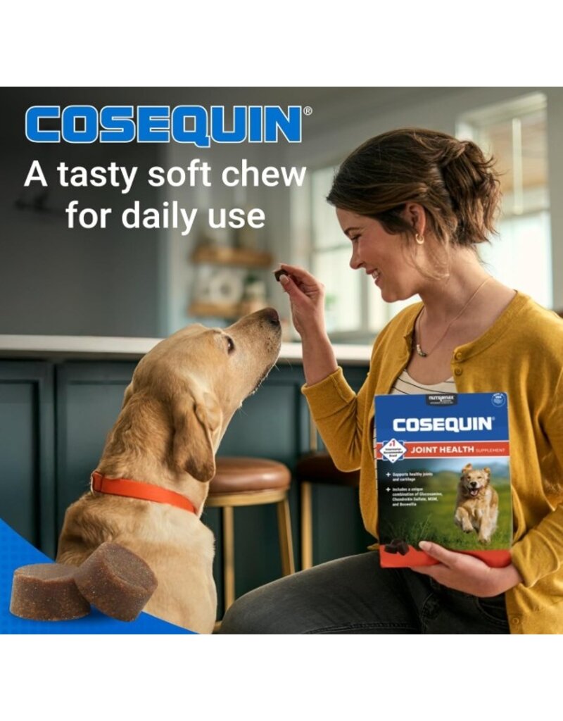 Nutramax Labs Nutramax Cosequin Joint Health Supplement with MSM 60Ct