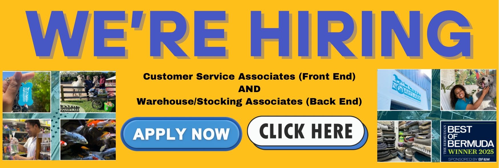 New Hiring