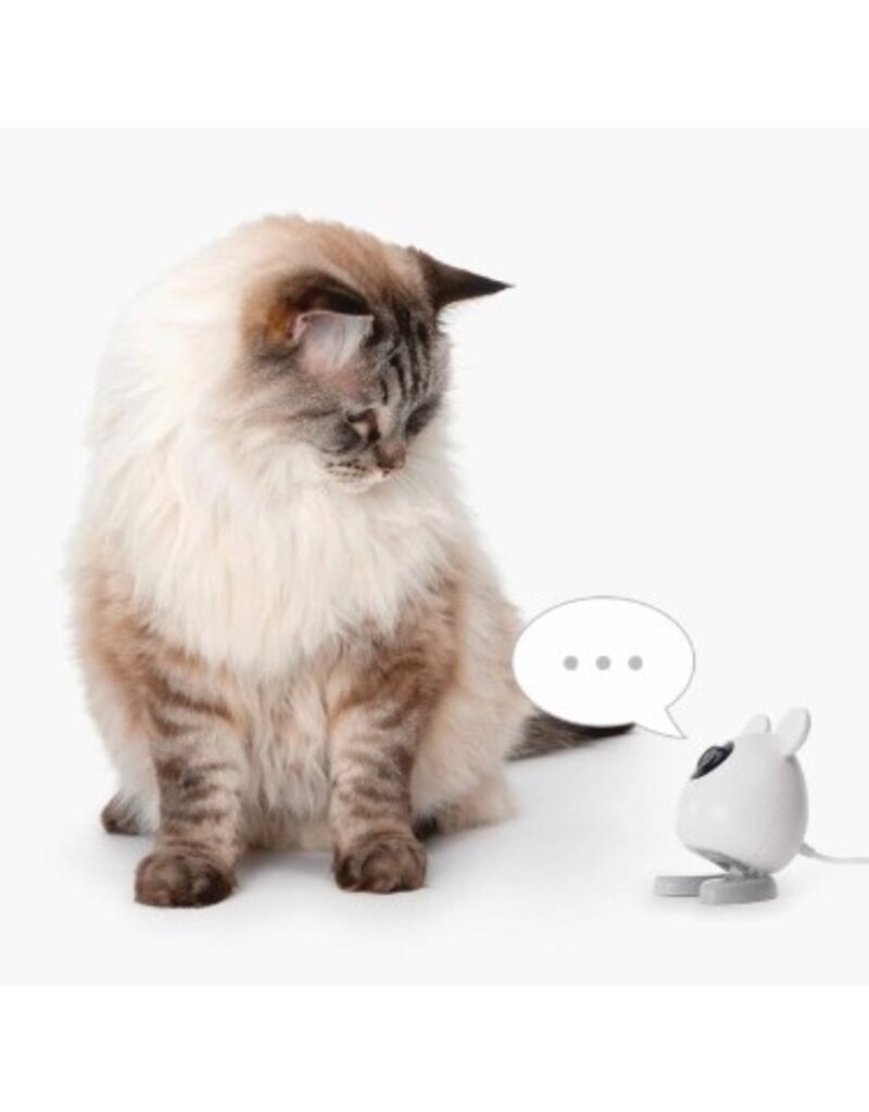 Catit Catit Pixi Smart Mouse Camera