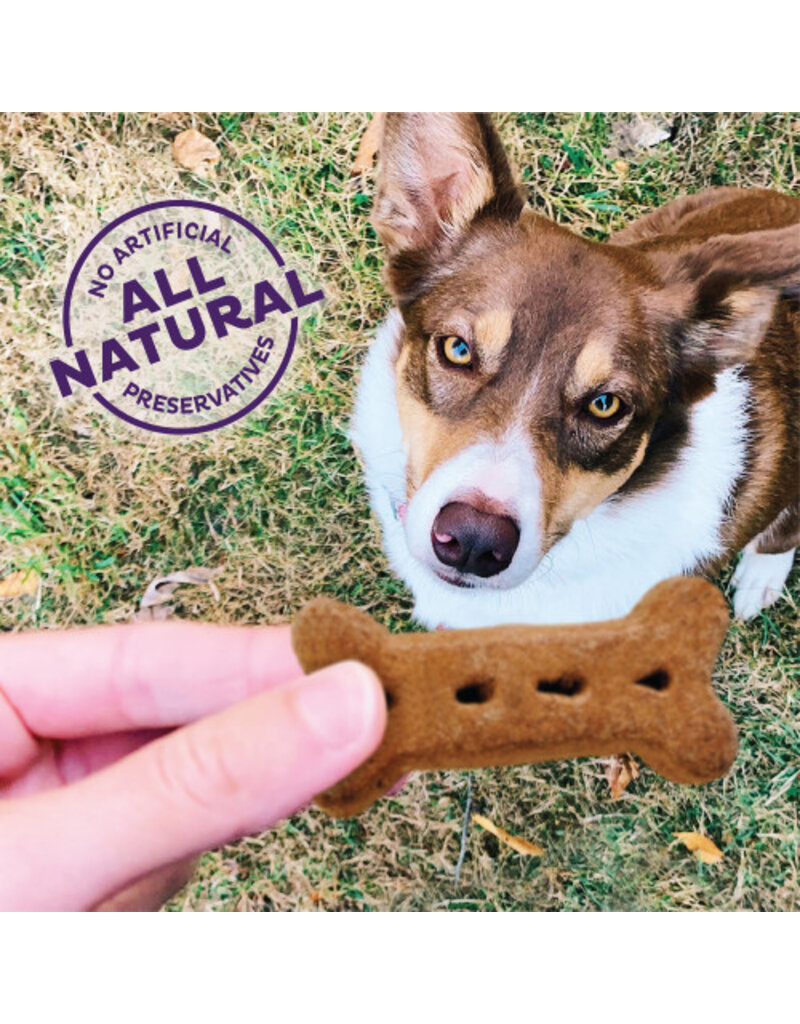 Old Mother Hubbard Old Mother Hubbard Classic  Bac'N'Cheez Small Dog Biscuits 20 oz