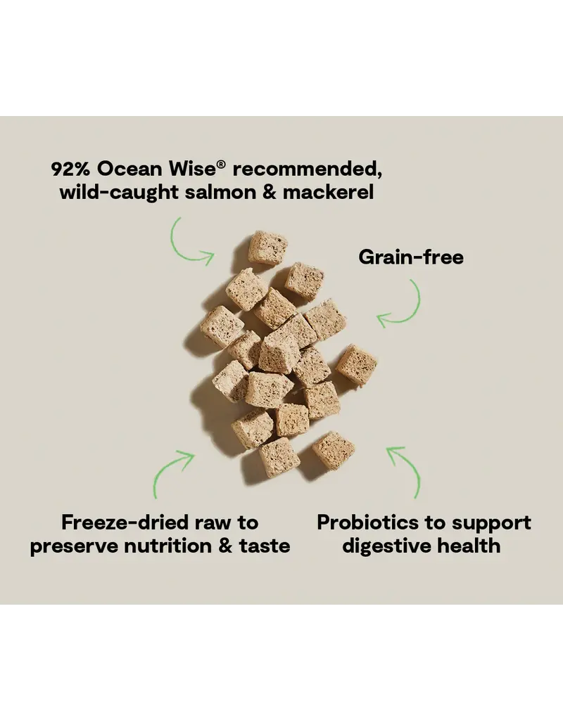 Open Farm Open Farm Cat Freeze-Dried Raw Treats Salmon/Mackerel 1.5Oz