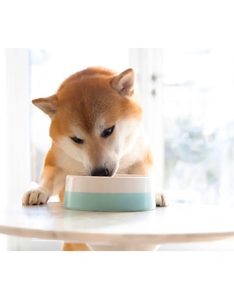 Open Farm Open Farm Rustic Stew Homestead Turkey Wet Dog Food 12.5oz   carton