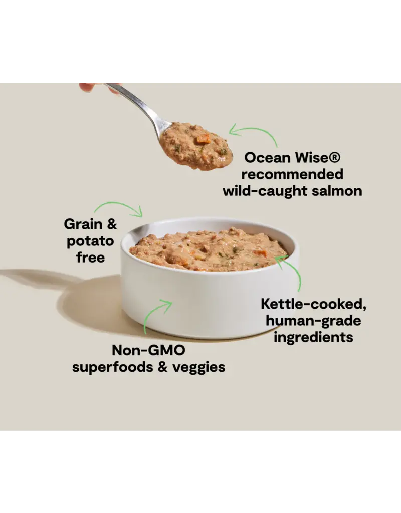 Open Farm Open Farm Rustic Stew Wild-Caught Salmon Wet Dog Food 12.5oz   carton