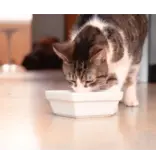 Open Farm Open Farm Rustic Blend Herring & Mackerel Wet Cat Food 5.5oz carton