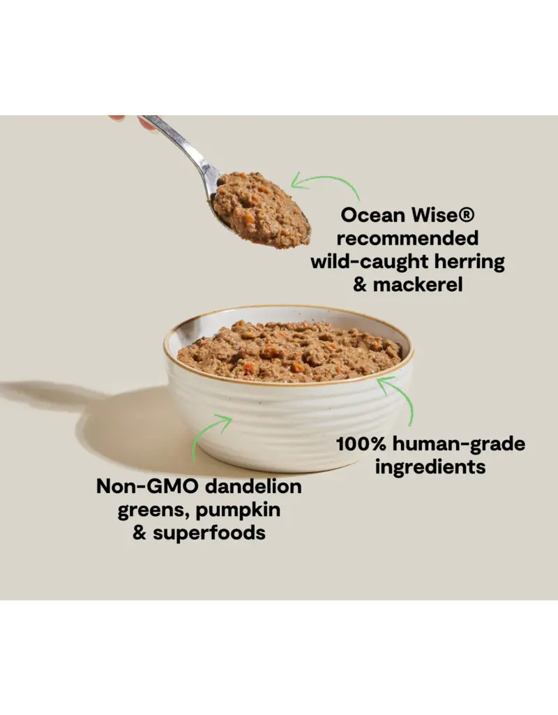 Open Farm Open Farm Rustic Blend Herring & Mackerel Wet Cat Food 5.5oz carton