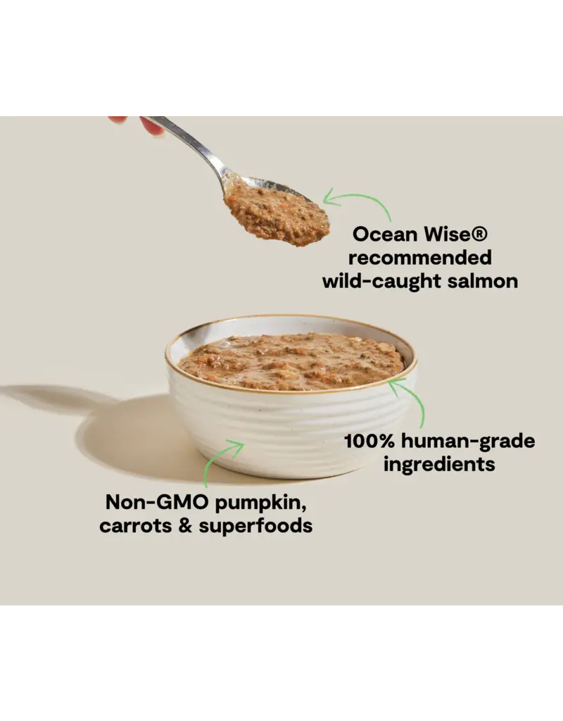 Open Farm Open Farm Rustic Blend Wild-Caught Salmon Wet Cat Food 5.5oz carton