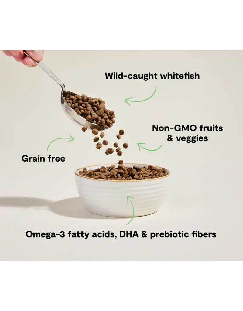 Open Farm Open Farm Catch-Of-The-Season Whitefish Dry Cat Food 4 LB