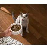 Open Farm Open Farm Catch-Of-The-Season Whitefish Dry Cat Food 4 LB