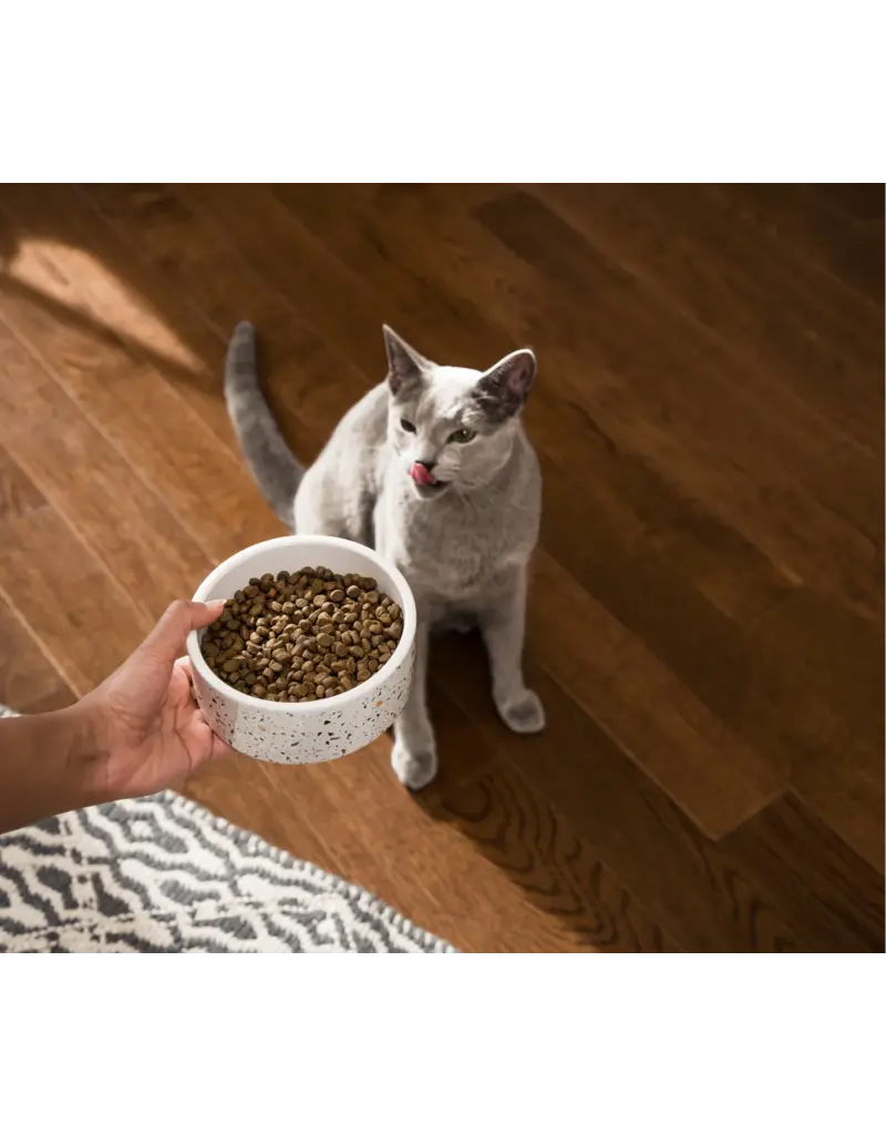 Open Farm Open Farm Catch-Of-The-Season Whitefish Dry Cat Food 4 LB