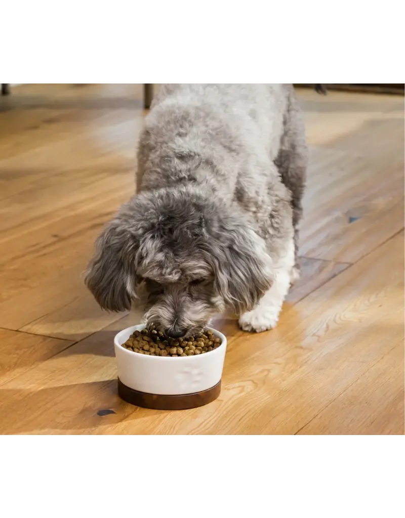 Open Farm Open Farm Grain Free Catch of the Season Dry Dog Food