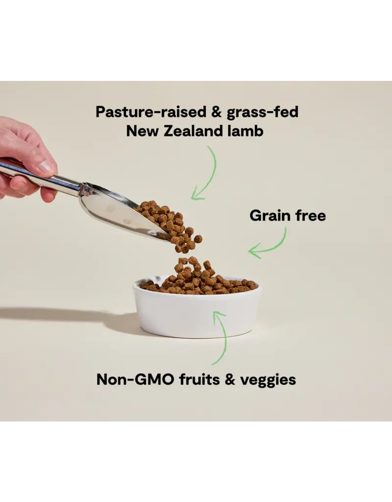 Open Farm Open Farm Grain Free Pasture-Raised Lamb Dry Dog Food