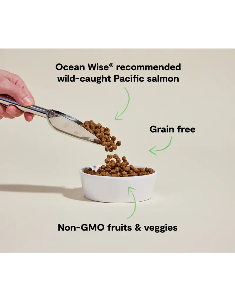 Open Farm Open Farm Grain Free Wild-Caught Salmon Dry Dog Food