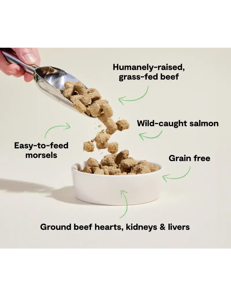 Open Farm Open Farm Freeze Dried Raw Surf & Turf Recipe Dog Food 13.5 oz