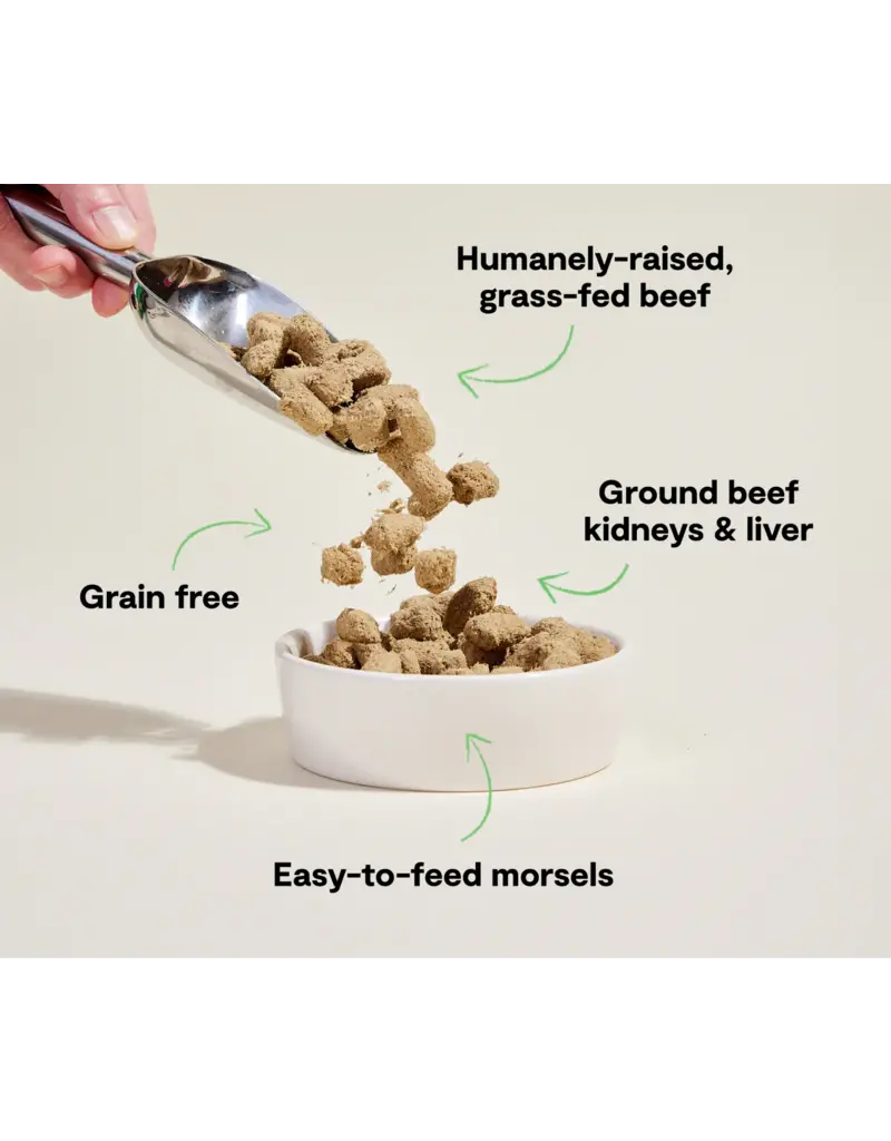 Open Farm Open Farm Freeze Dried Raw Grass-Fed Beef Recipe Dog Food 13.5 oz