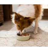 Open Farm Open Farm Freeze Dried Raw Pasture-Raised Lamb Recipe Dog Food