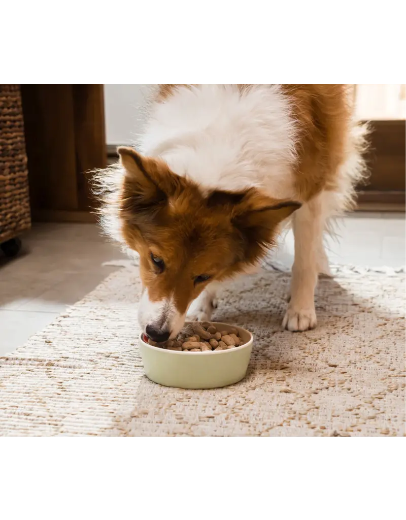 Open Farm Open Farm Freeze Dried Raw Pasture-Raised Lamb Recipe Dog Food