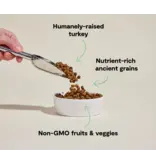 Open Farm Open Farm Ancient Grain Homestead  Turkey Dog Food 22 Lb