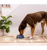 Open Farm Open Farm Ancient Grain Homestead  Turkey Dog Food 22 Lb