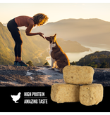 Orijen Orijen Freeze Dried Dog Treat Original 1.5 oz