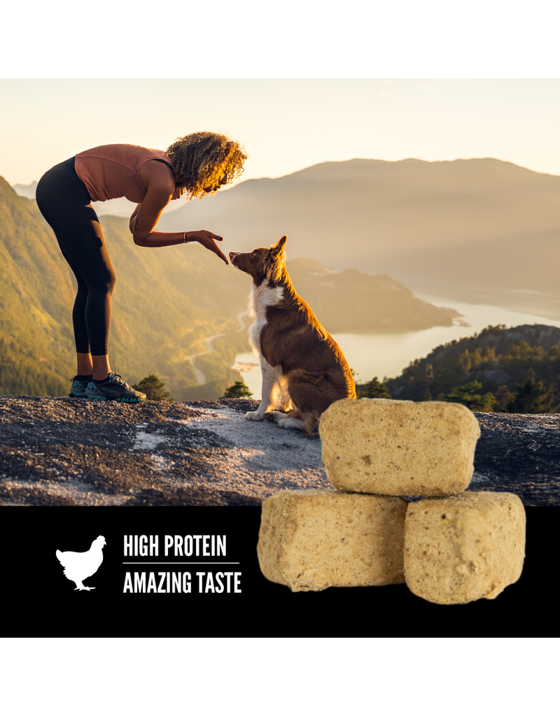 Orijen Orijen Freeze Dried Dog Treat Original 1.5 oz