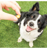 Inaba Inaba Churu Fun Bites Chicken/Cheese Wraps Dog Treats 3.36 Oz