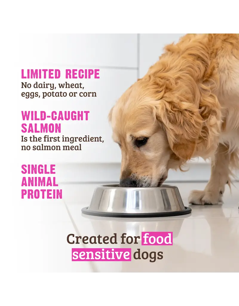 RAWZ Rawz Limited Ingredient Salmon Dry Dog Food