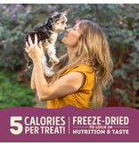 Acana Acana Freeze Dried Lamb and Apple Treat 1.25oz