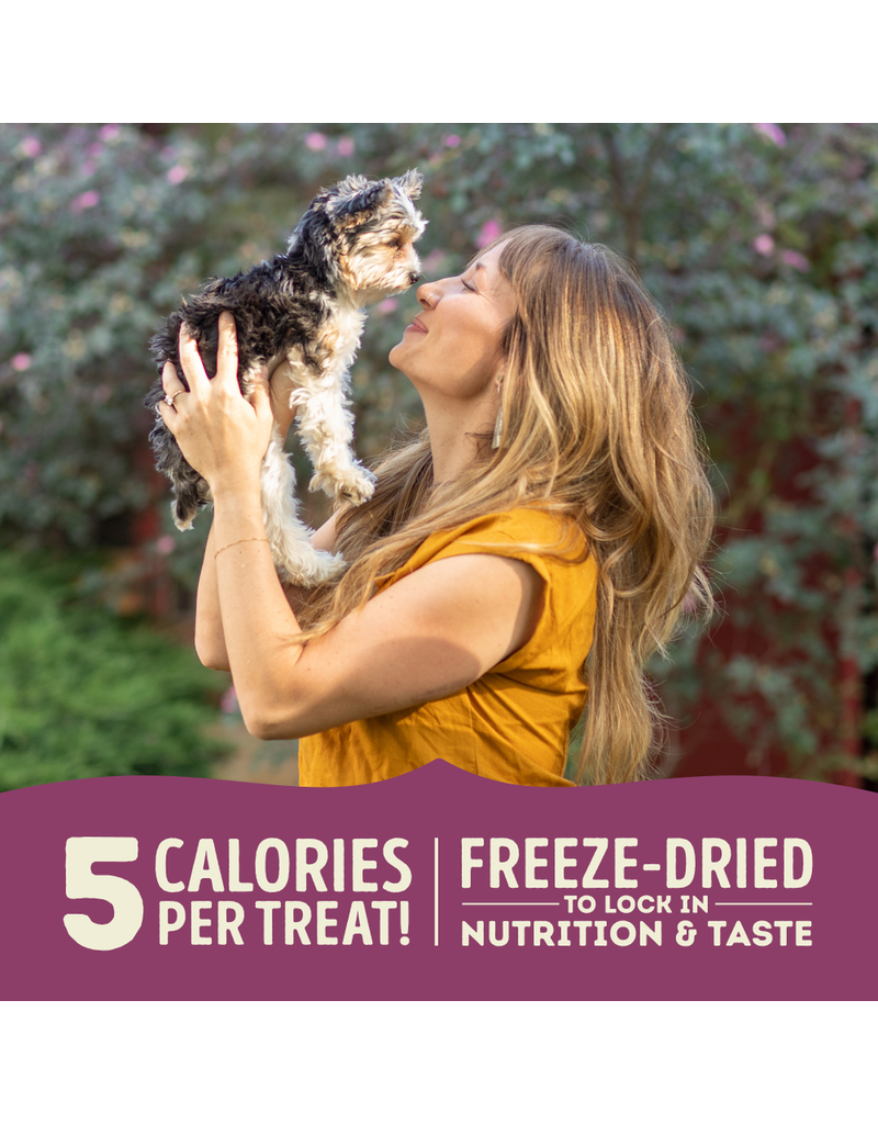 Acana Acana Freeze Dried Lamb and Apple Treat 1.25oz