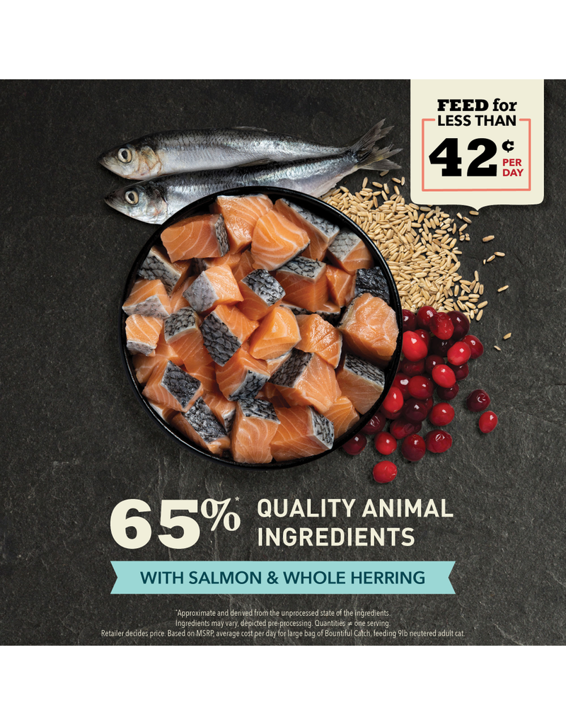 Acana Acana Bountiful Catch Salmon and Herring Dry Cat Food 4 Lb