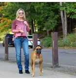 Coastal Pet Coastal Padded Multi-Function Leash Black/Gray 3/4 In x 6 Ft