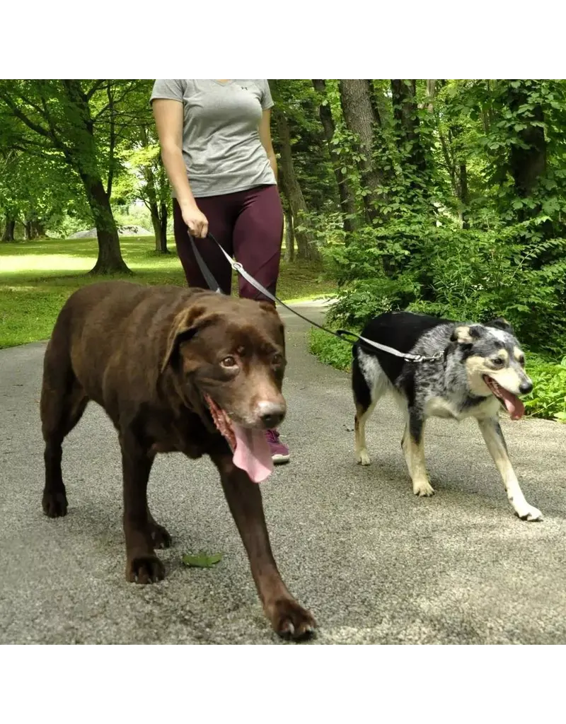 Coastal Pet Coastal Padded Multi-Function Leash Black/Gray 3/4 In x 6 Ft