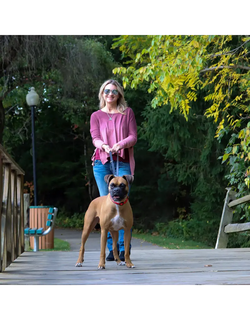 Coastal Pet Coastal Padded Multi-Function Leash Black/Gray 3/4 In x 6 Ft