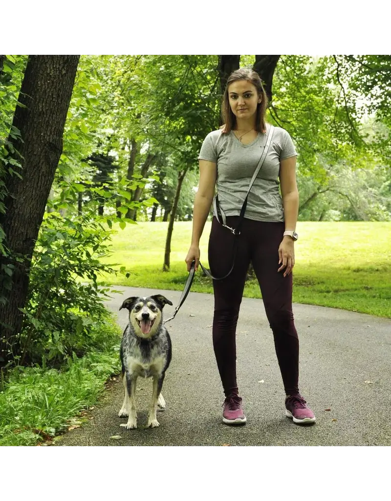 Coastal Pet Coastal Padded Multi-Function Leash Black/Gray 3/4 In x 6 Ft