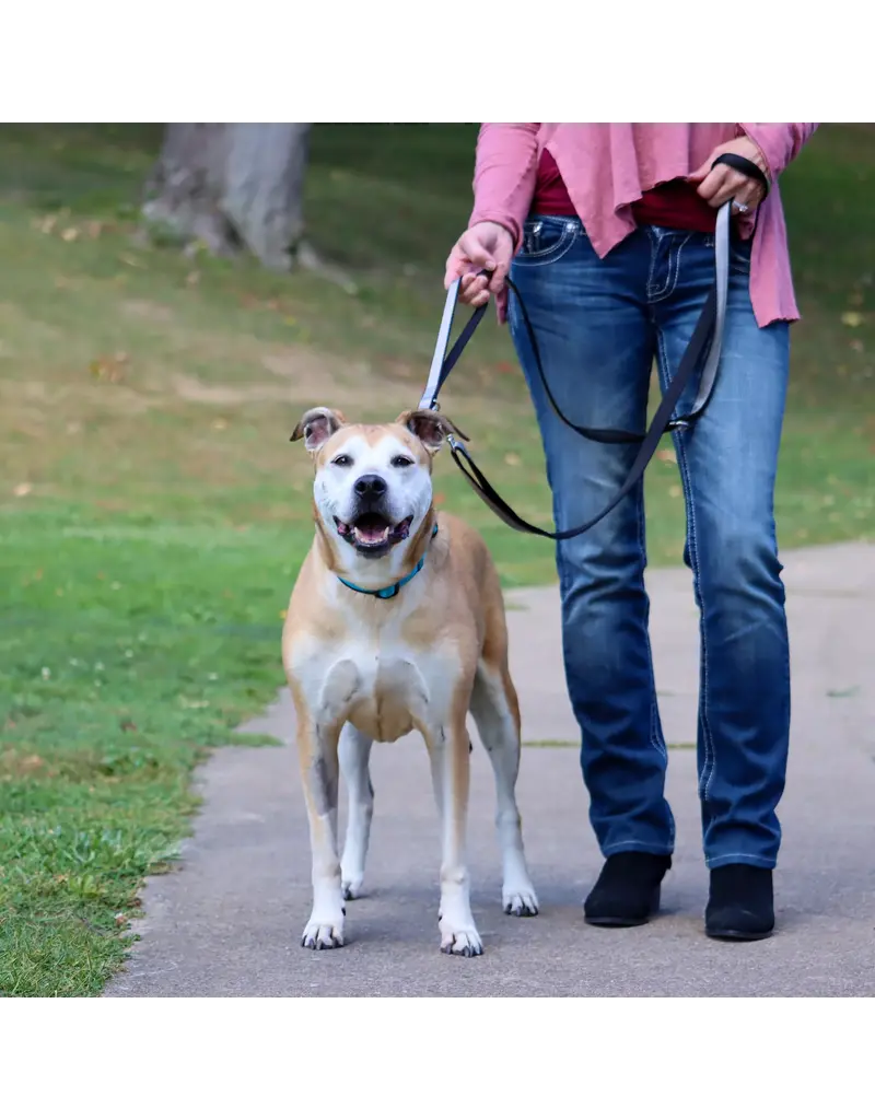 Coastal Pet Coastal Padded Multi-Function Leash Black/Gray 3/4 In x 6 Ft