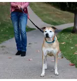 Coastal Pet Coastal Padded Multi-Function Leash Black/Gray 3/4 In x 6 Ft