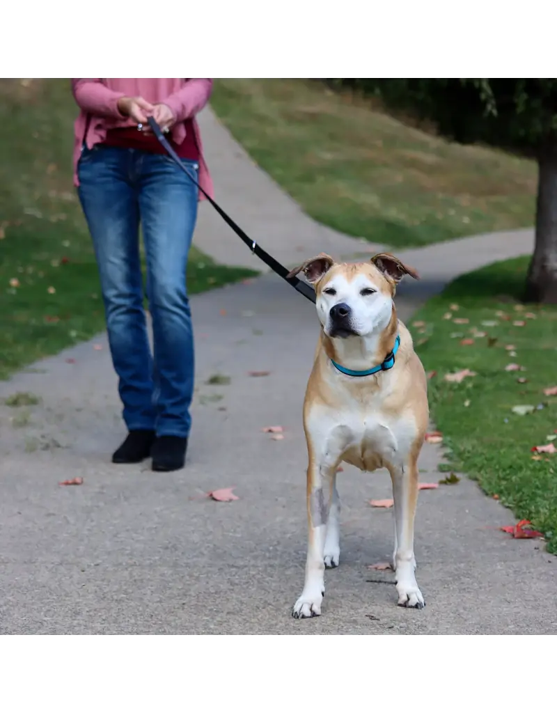 Coastal Pet Coastal Padded Multi-Function Leash Black/Gray 3/4 In x 6 Ft