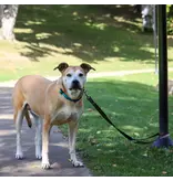 Coastal Pet Coastal Padded Multi-Function Leash Black/Gray 3/4 In x 6 Ft