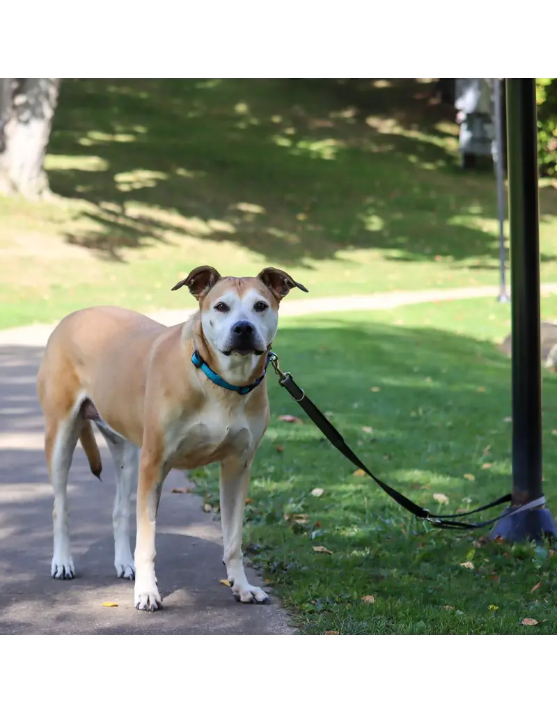 Coastal Pet Coastal Padded Multi-Function Leash Black/Gray 3/4 In x 6 Ft