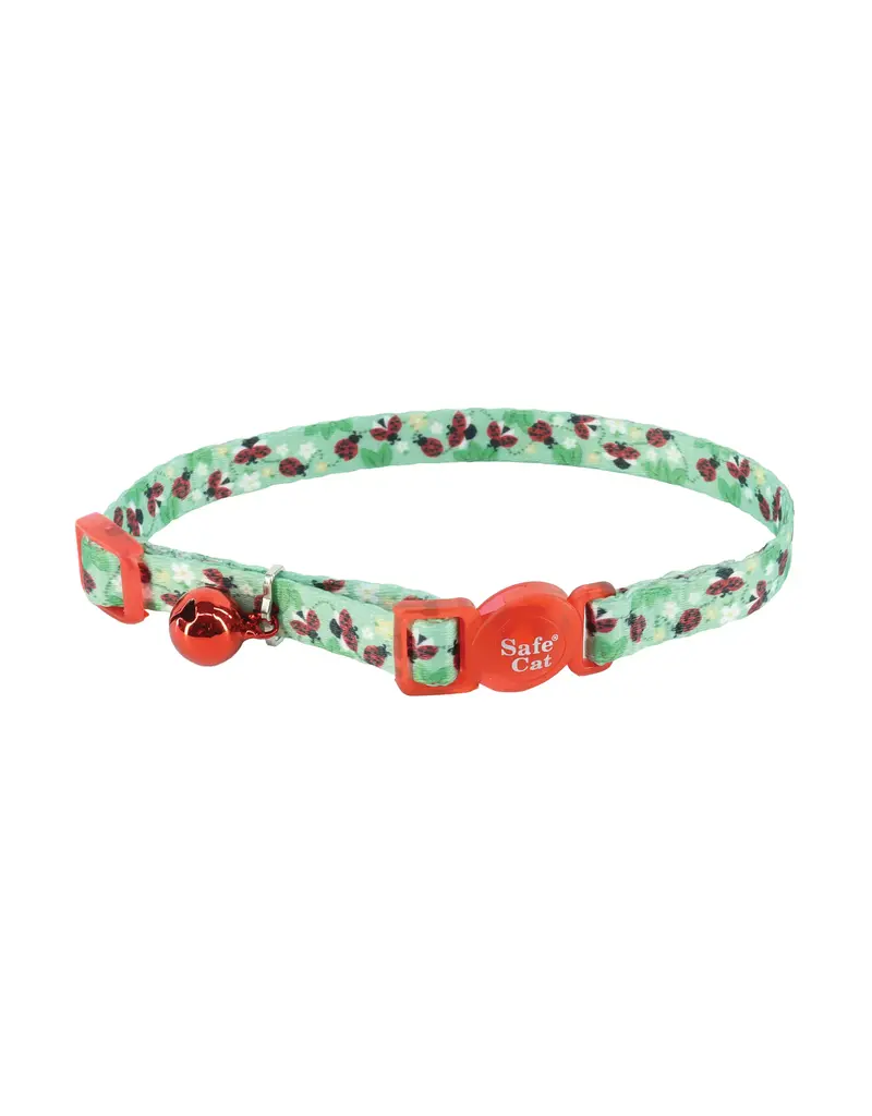 Coastal Pet Coastal Pet Safe Cat Fashion Collar