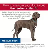 Coastal Pet Accent Microfiber Collar