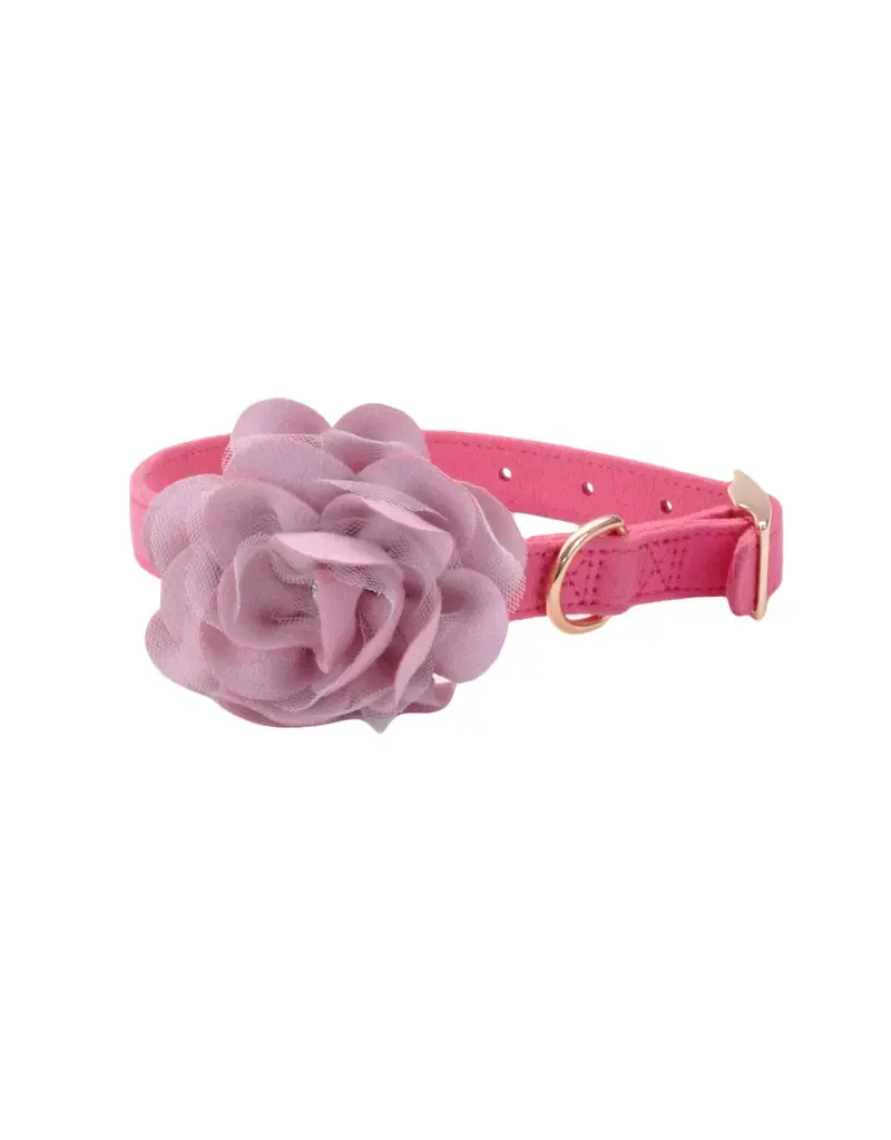 Coastal Pet Coastal Accent Microfiber Collar