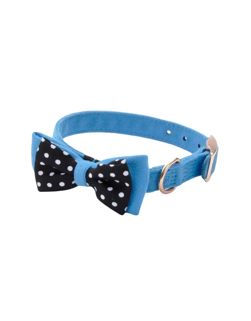 Coastal Pet Accent Microfiber Collar
