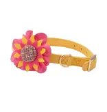 Coastal Pet Accent Microfiber Collar