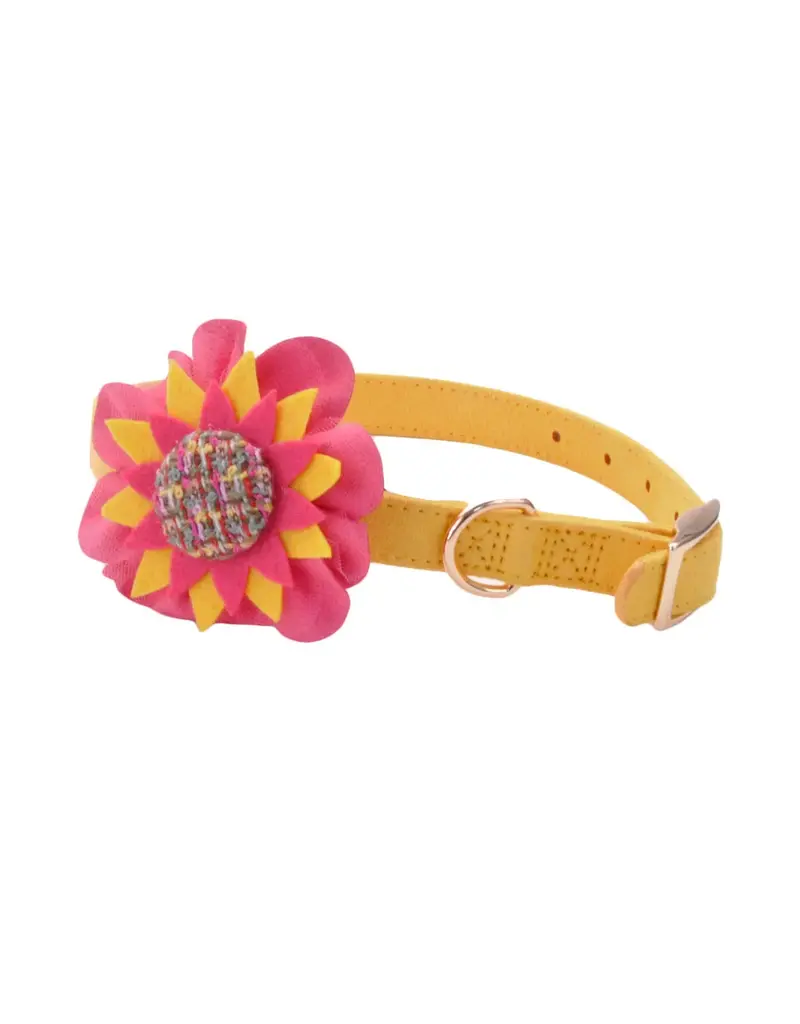 Coastal Pet Accent Microfiber Collar