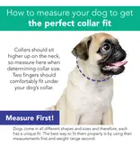 Coastal Pet Coastal Woven Collar With Tassel