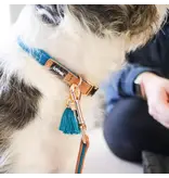 Coastal Pet Coastal Lil Pals Woven Leash 6 ft