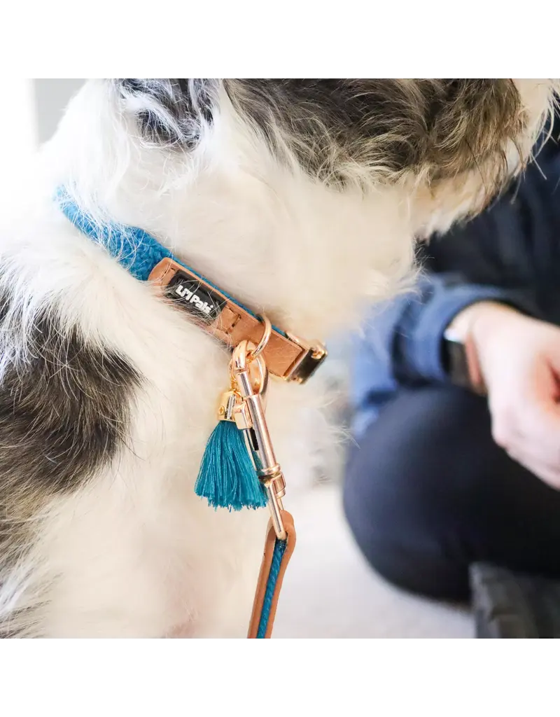 Coastal Pet Coastal Lil Pals Woven Leash 6 ft