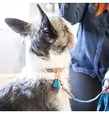 Coastal Pet Coastal Lil Pals Woven Leash 6 ft