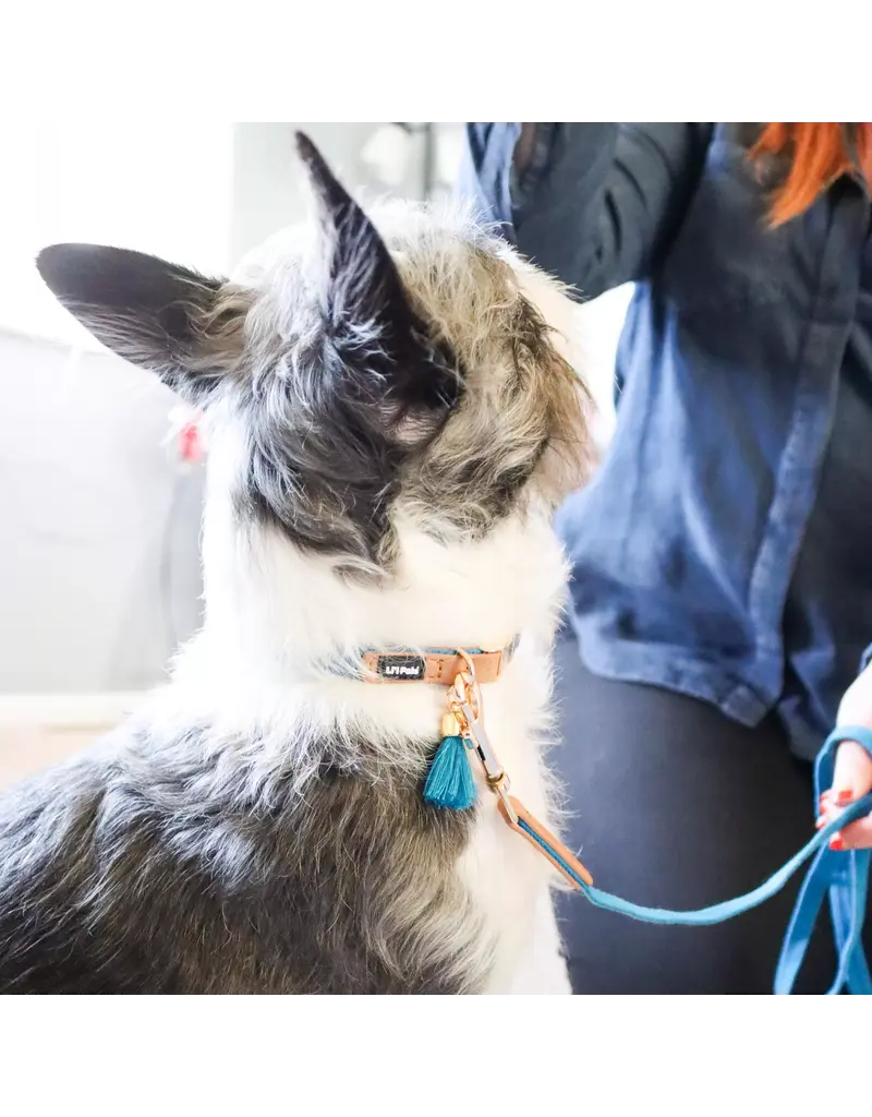 Coastal Pet Coastal Lil Pals Woven Leash 6 ft